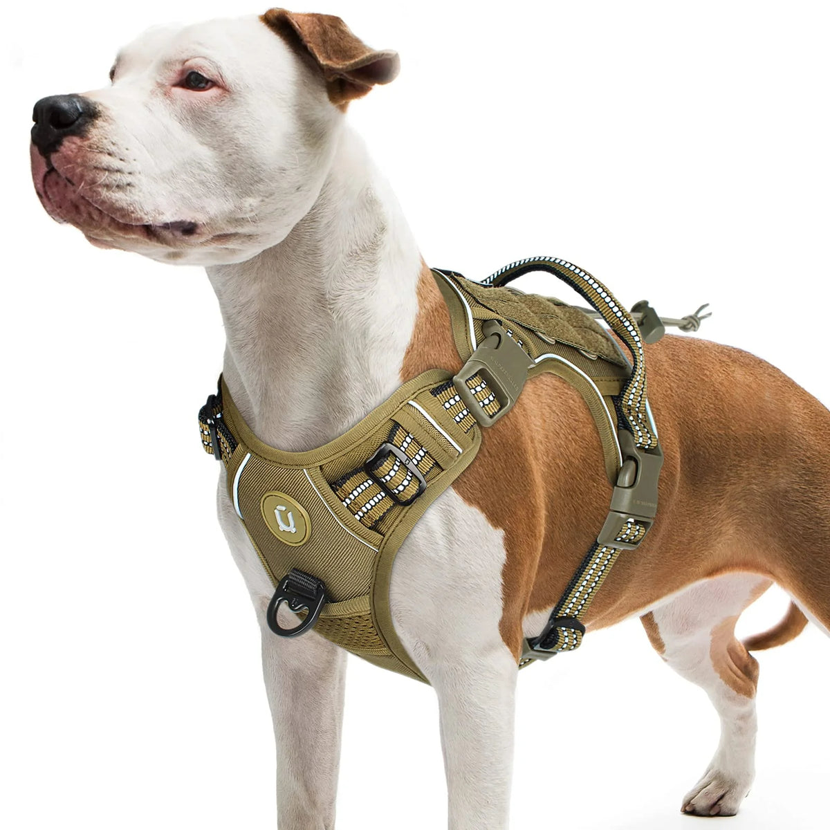 Harnais Tactique pour Chien - Museau Club