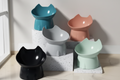 Gamelle surélevée pour chat en plusieurs couleurs